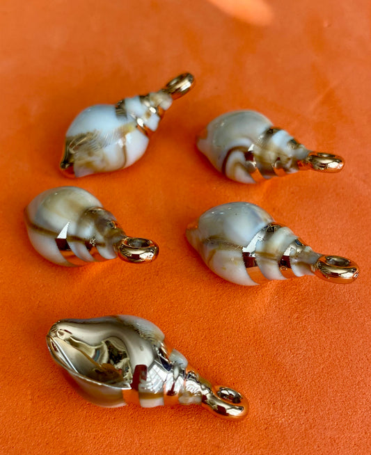 5 Beautiful Acrylic Shell Charms/Beads 30mm