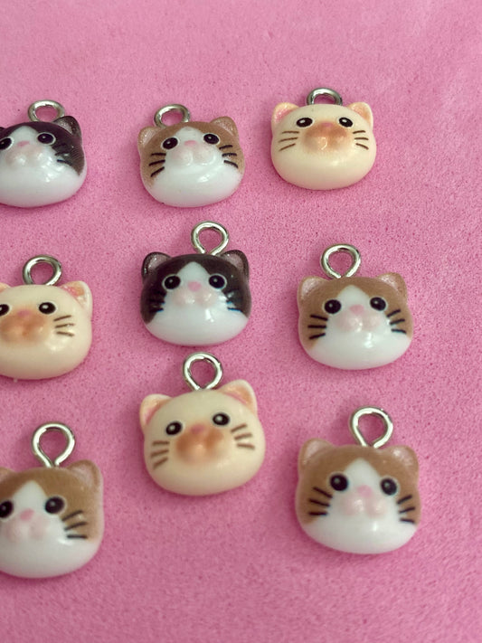 Cat heads charms cute kitten playful 